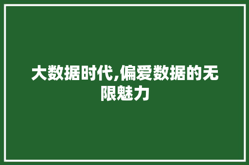 大数据时代,偏爱数据的无限魅力