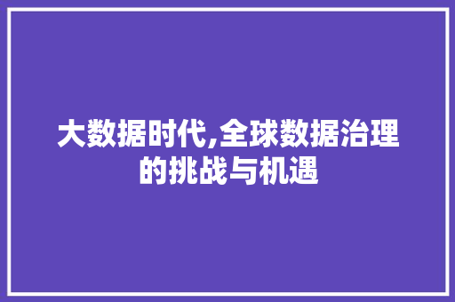 大数据时代,全球数据治理的挑战与机遇