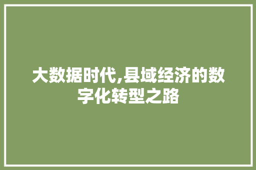 大数据时代,县域经济的数字化转型之路