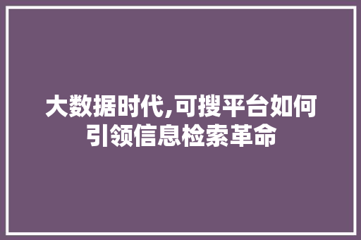 大数据时代,可搜平台如何引领信息检索革命