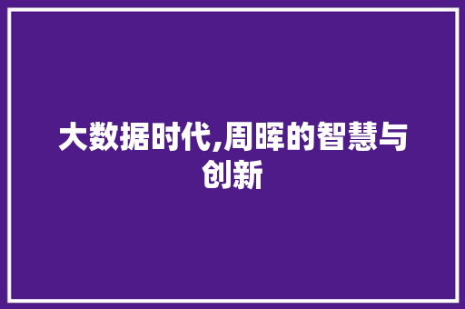 大数据时代,周晖的智慧与创新