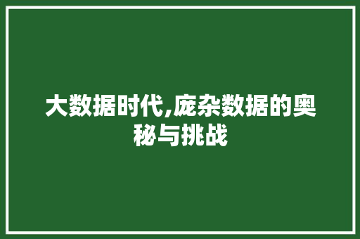 大数据时代,庞杂数据的奥秘与挑战