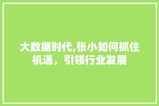 大数据时代,张小如何抓住机遇，引领行业发展