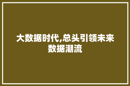 大数据时代,总头引领未来数据潮流