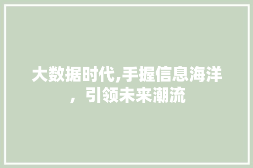 大数据时代,手握信息海洋，引领未来潮流