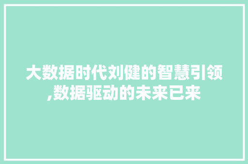 大数据时代刘健的智慧引领,数据驱动的未来已来