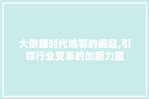 大数据时代姚羽的崛起,引领行业变革的创新力量 Python