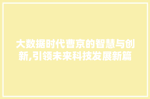 大数据时代曹京的智慧与创新,引领未来科技发展新篇章