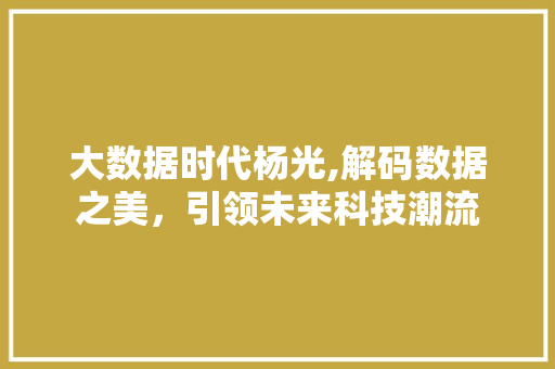 大数据时代杨光,解码数据之美，引领未来科技潮流