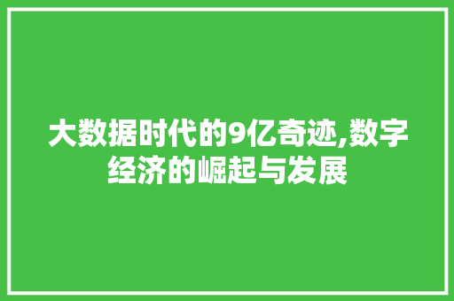 大数据时代的9亿奇迹,数字经济的崛起与发展