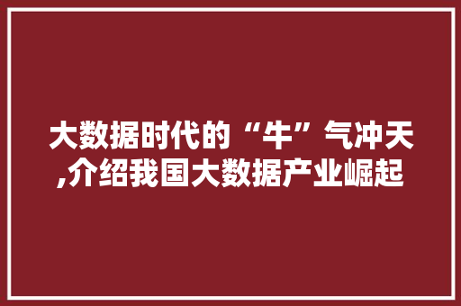 大数据时代的“牛”气冲天,介绍我国大数据产业崛起的背后