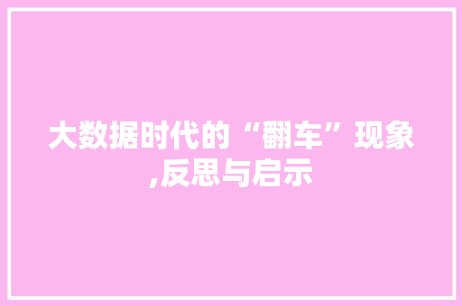 大数据时代的“翻车”现象,反思与启示 RESTful API