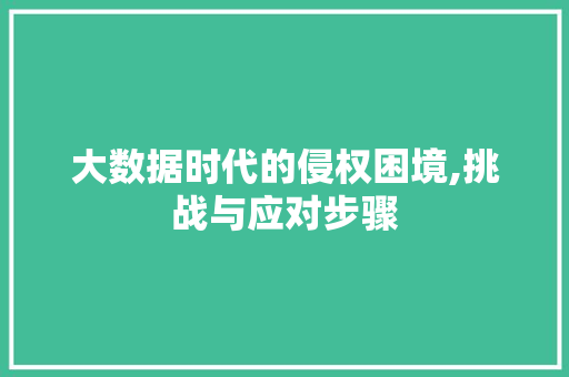 大数据时代的侵权困境,挑战与应对步骤