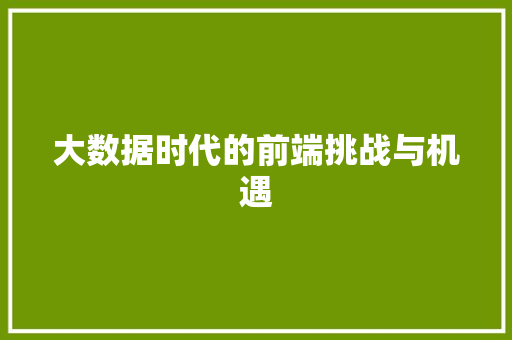 大数据时代的前端挑战与机遇