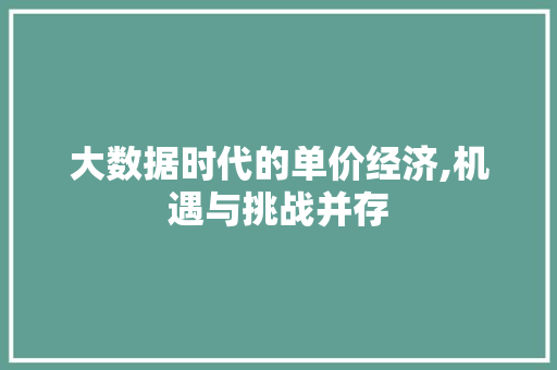 大数据时代的单价经济,机遇与挑战并存