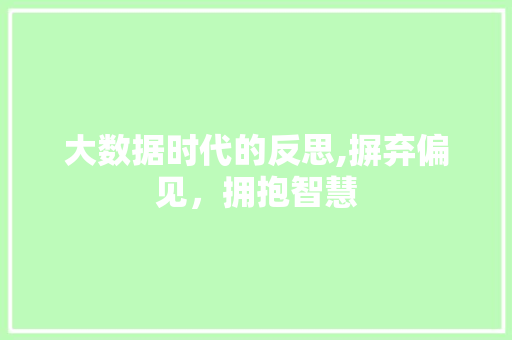 大数据时代的反思,摒弃偏见，拥抱智慧