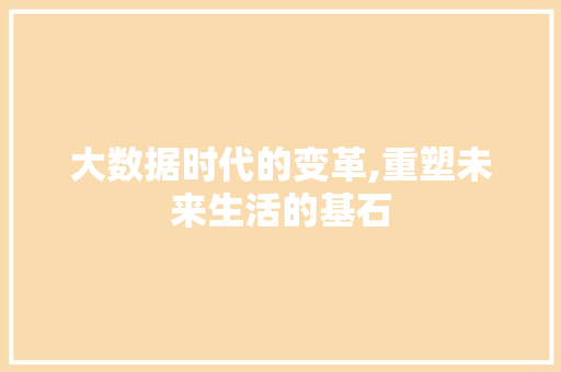 大数据时代的变革,重塑未来生活的基石