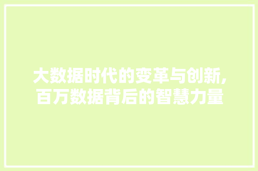 大数据时代的变革与创新,百万数据背后的智慧力量