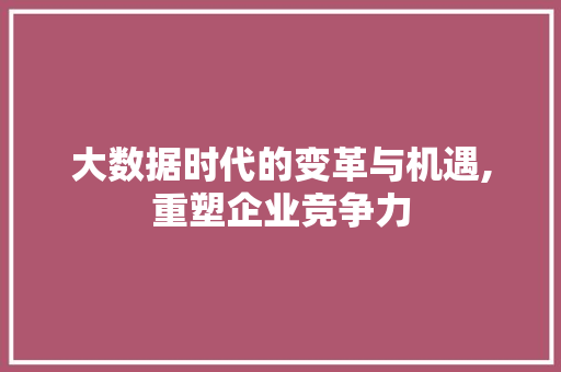 大数据时代的变革与机遇,重塑企业竞争力