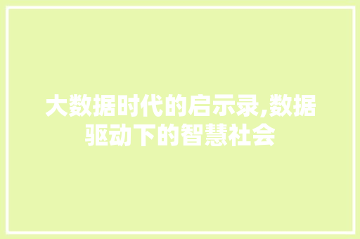 大数据时代的启示录,数据驱动下的智慧社会