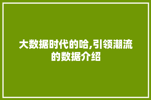 大数据时代的哈,引领潮流的数据介绍