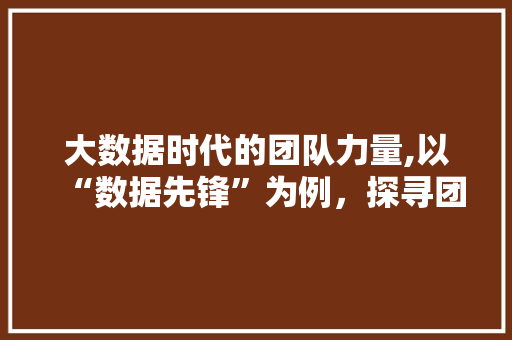 大数据时代的团队力量,以“数据先锋”为例，探寻团队协作与创新之路