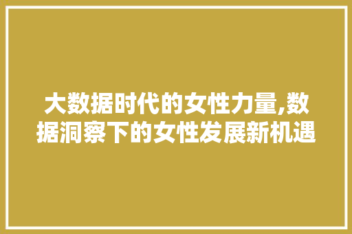 大数据时代的女性力量,数据洞察下的女性发展新机遇