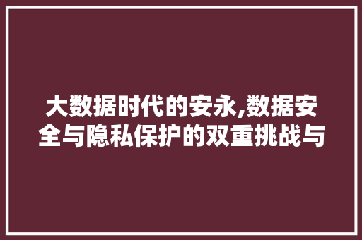 大数据时代的安永,数据安全与隐私保护的双重挑战与应对