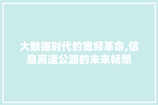 大数据时代的宽频革命,信息高速公路的未来畅想