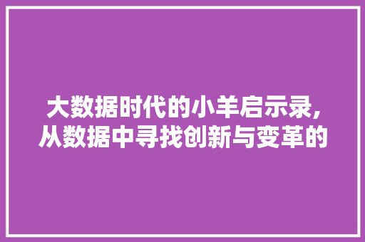 大数据时代的小羊启示录,从数据中寻找创新与变革的契机