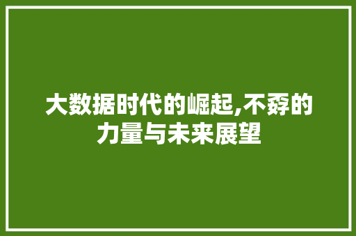 大数据时代的崛起,不孬的力量与未来展望 RESTful API