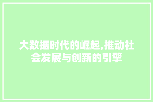 大数据时代的崛起,推动社会发展与创新的引擎