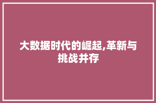 大数据时代的崛起,革新与挑战并存 Vue.js