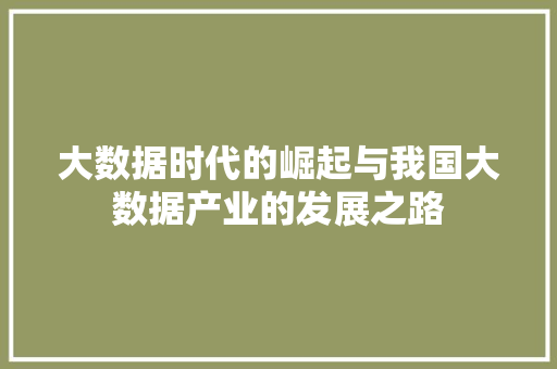 大数据时代的崛起与我国大数据产业的发展之路