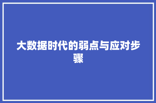 大数据时代的弱点与应对步骤