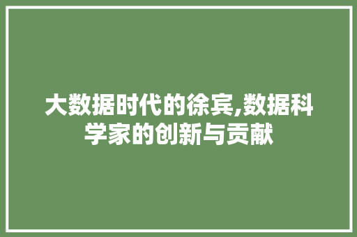 大数据时代的徐宾,数据科学家的创新与贡献