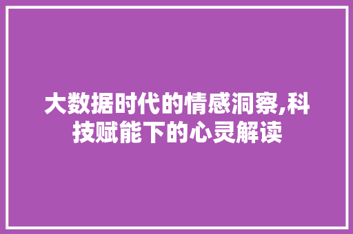 大数据时代的情感洞察,科技赋能下的心灵解读