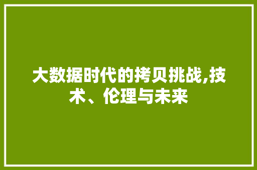 大数据时代的拷贝挑战,技术、伦理与未来