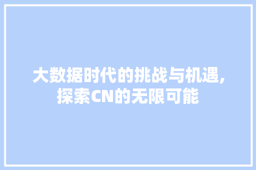 大数据时代的挑战与机遇,探索CN的无限可能