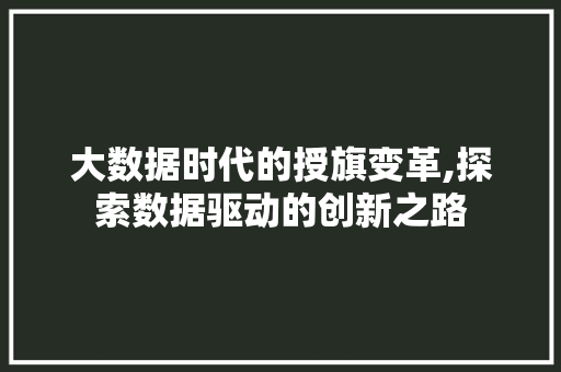 大数据时代的授旗变革,探索数据驱动的创新之路