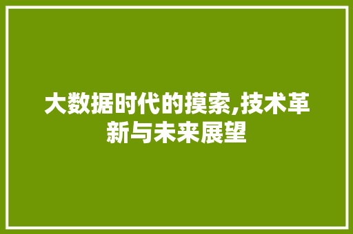 大数据时代的摸索,技术革新与未来展望 RESTful API