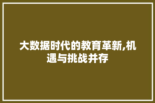 大数据时代的教育革新,机遇与挑战并存