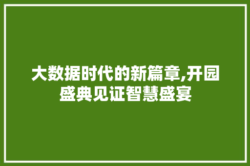 大数据时代的新篇章,开园盛典见证智慧盛宴