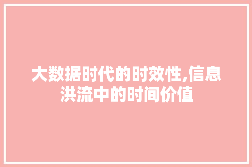 大数据时代的时效性,信息洪流中的时间价值