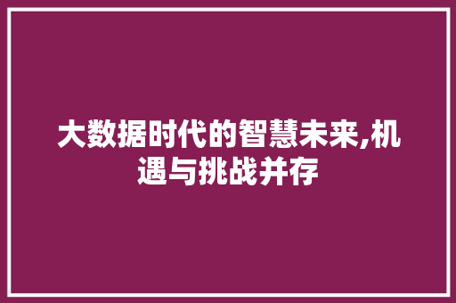 大数据时代的智慧未来,机遇与挑战并存