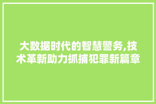 大数据时代的智慧警务,技术革新助力抓捕犯罪新篇章