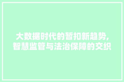 大数据时代的暂扣新趋势,智慧监管与法治保障的交织