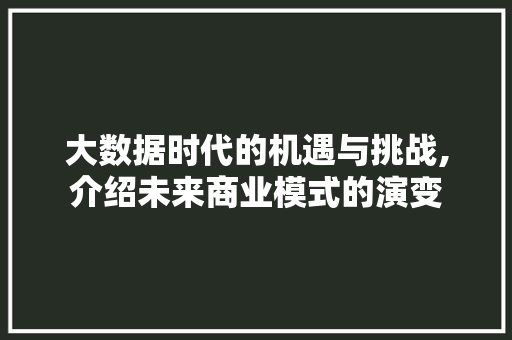 大数据时代的机遇与挑战,介绍未来商业模式的演变