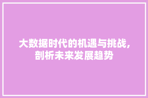 大数据时代的机遇与挑战,剖析未来发展趋势