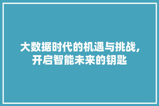 大数据时代的机遇与挑战,开启智能未来的钥匙